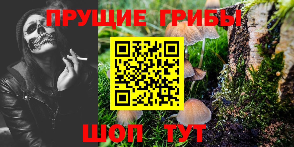 Псилоцибиновые грибы прущие грибы  Вход с VPN  Сызрань 