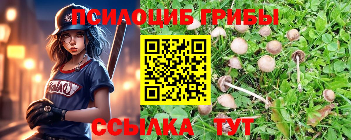 Галлюциногенные грибы Magic Shrooms Сызрань